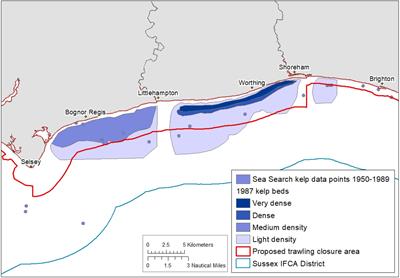 Rewilding the Sea? A Rapid, Low Cost Model for Valuing the Ecosystem Service Benefits of Kelp Forest Recovery Based on Existing Valuations and Benefit Transfers